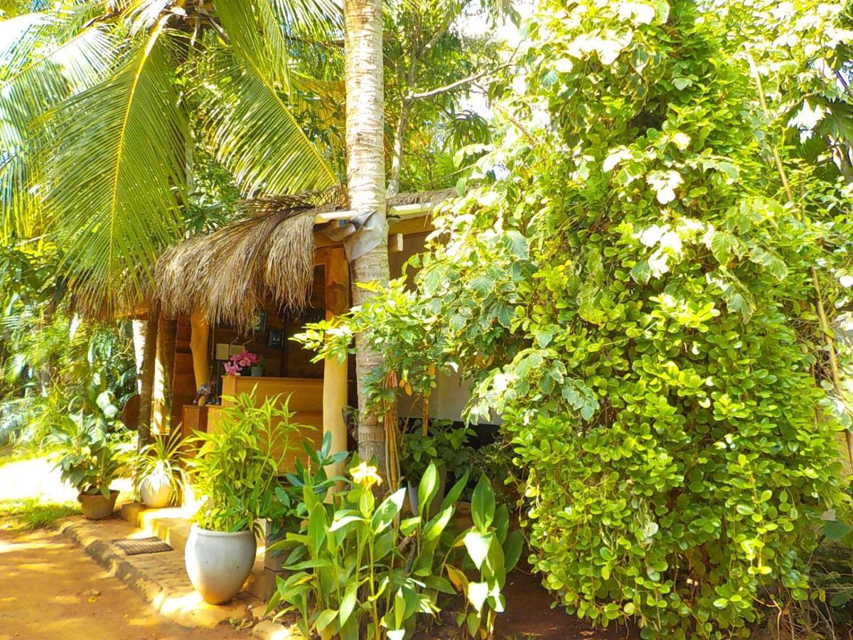 Liyana Holiday Resort Анурадхапура Екстер'єр фото